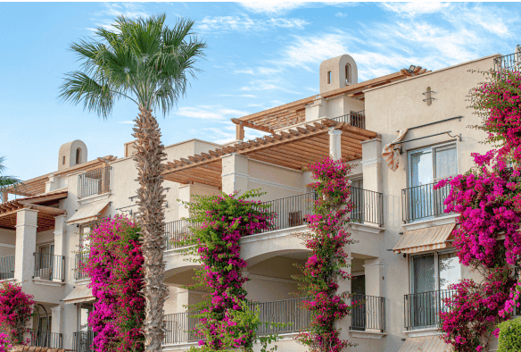 Screenshot 2025 05 04 162217