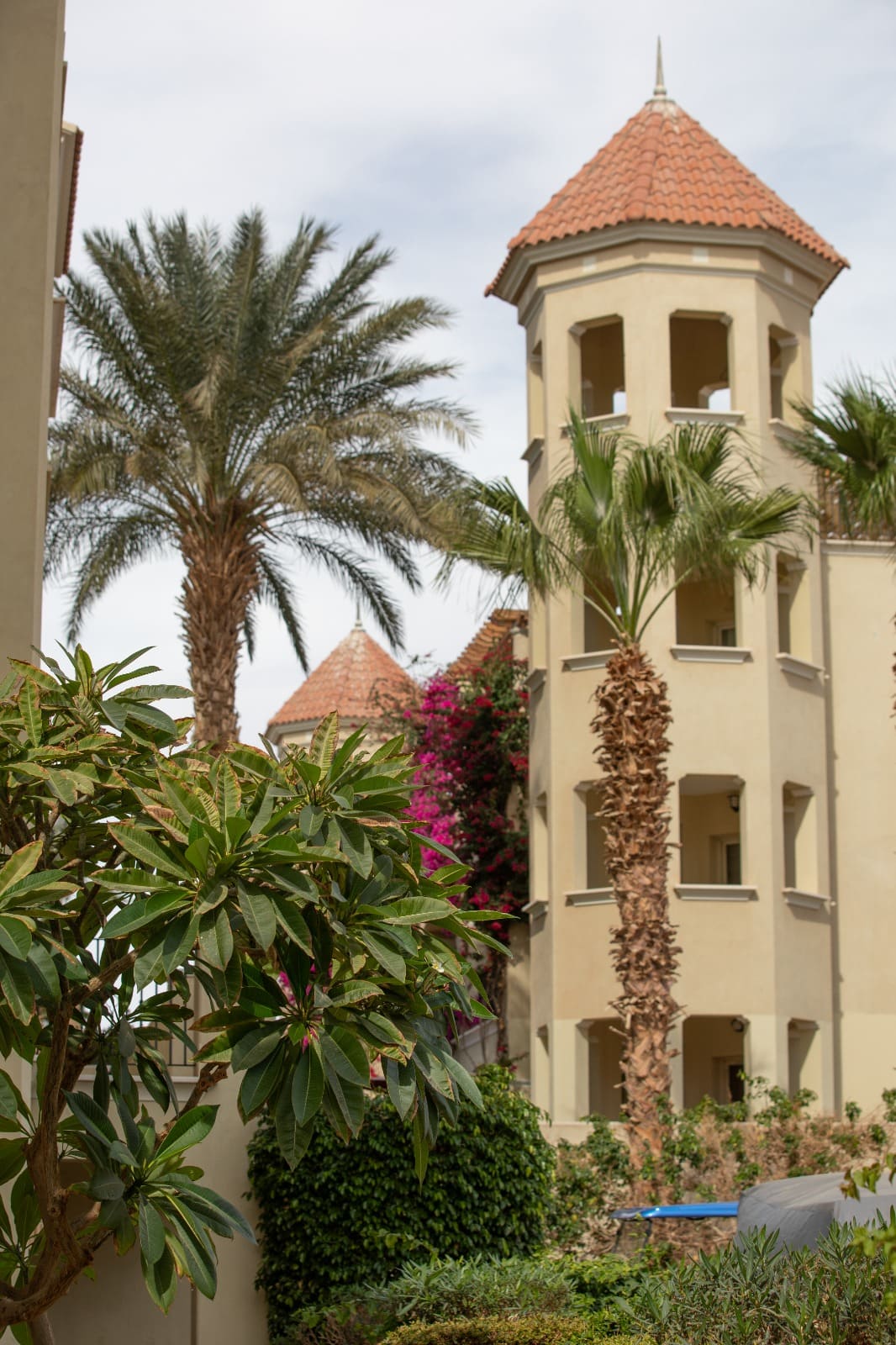 WhatsApp Image 2025-05-04 at 5.02.04 PM