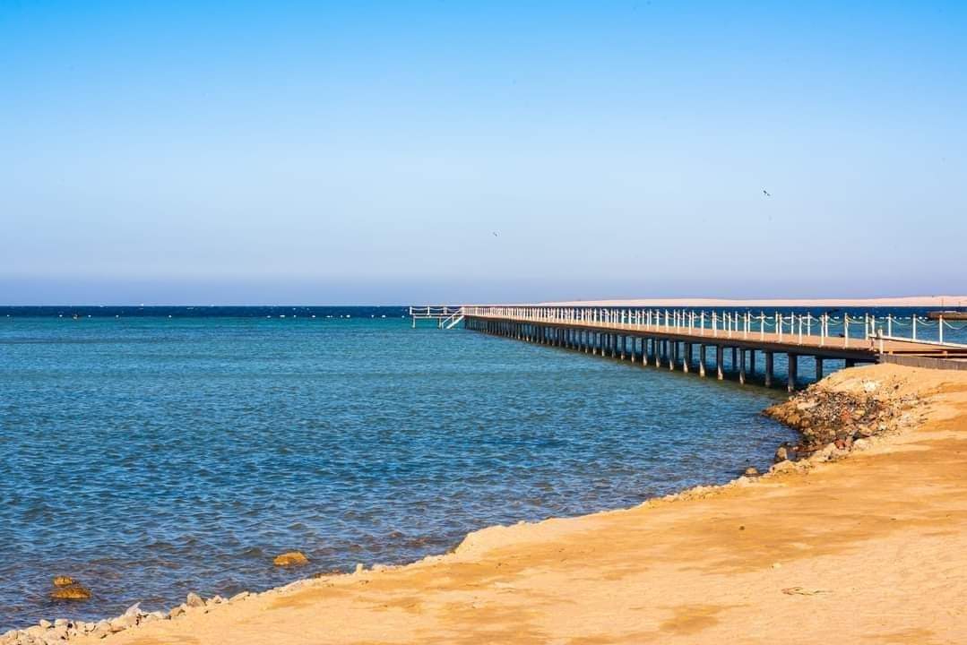 WhatsApp Image 2025-05-07 at 4.05.03 PM