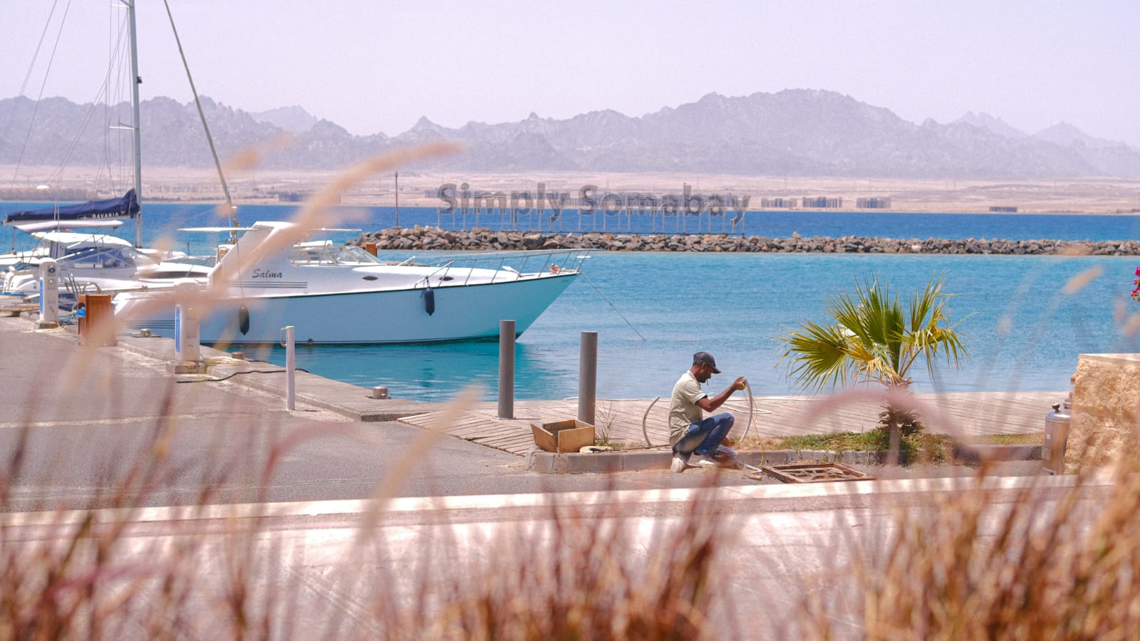 Investment Opportunities